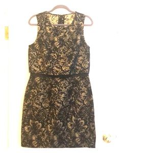 Cynthia Steffe Brocade Dress